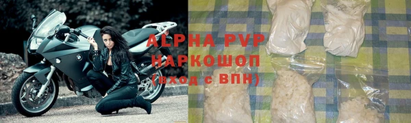 индика Ельня