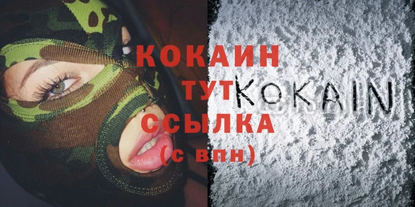 индика Ельня