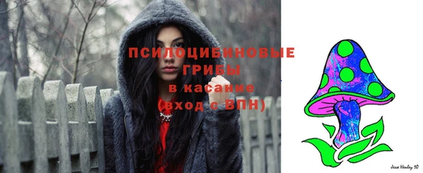 кокс Елизово