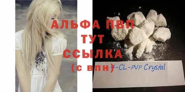 индика Ельня