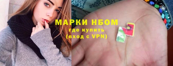 индика Ельня