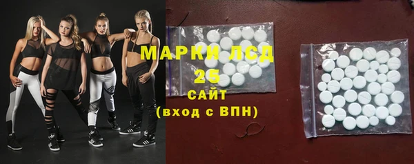 индика Ельня