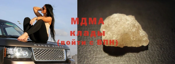индика Ельня