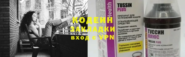 кокс Елизово