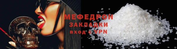 индика Ельня