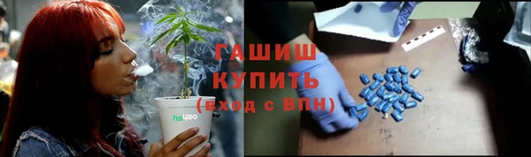 индика Ельня