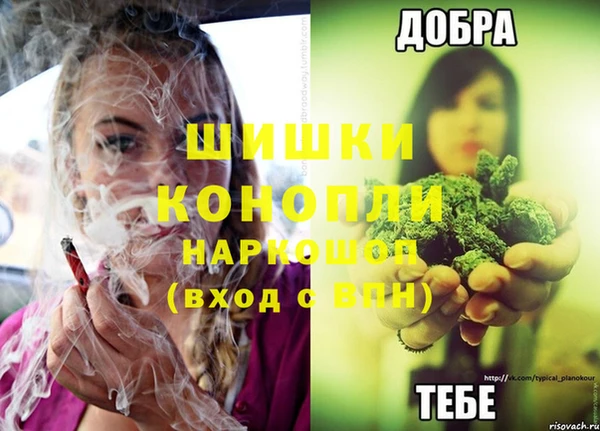 кокс Елизово
