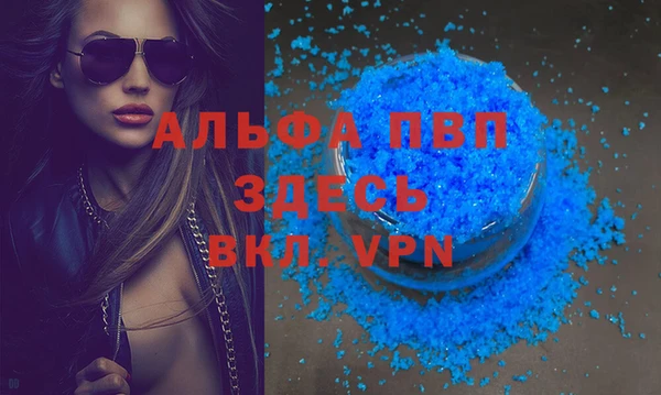 индика Ельня