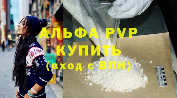 индика Ельня