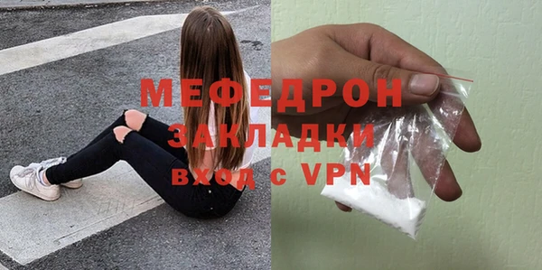 индика Ельня