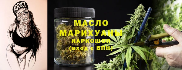 индика Ельня
