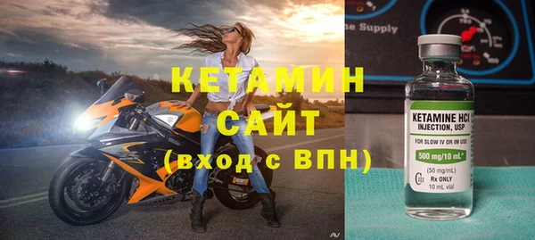 индика Ельня