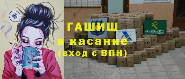 индика Ельня