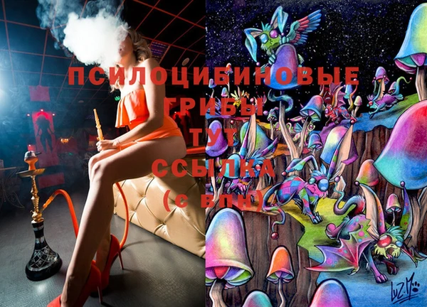 бутират Елабуга
