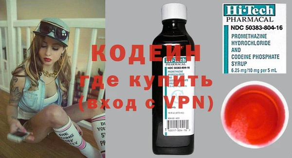 индика Ельня