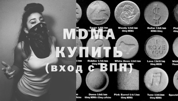 индика Ельня