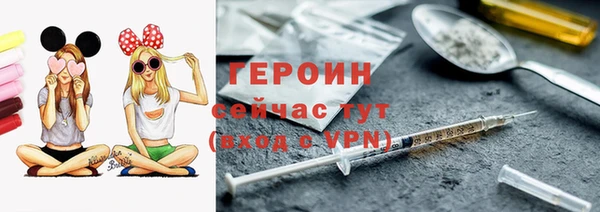 индика Ельня